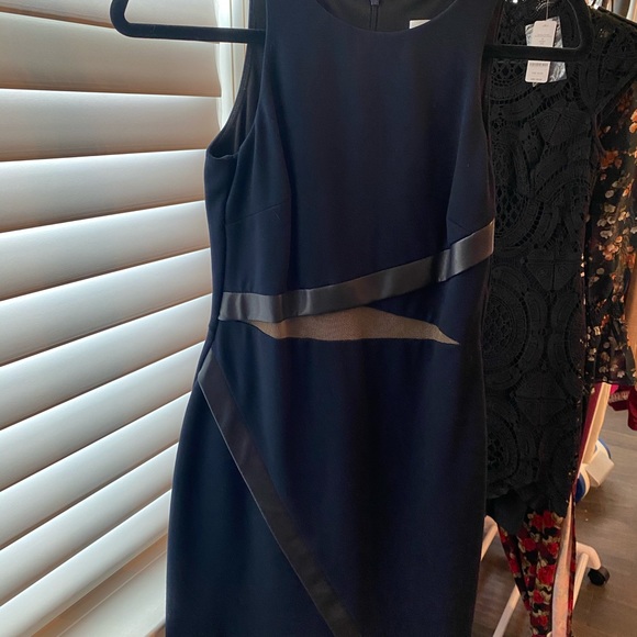 Bundle of Dresses size 0/XS J. Crew, Bebe, Zara, Likely and more! - Picture 13 of 17